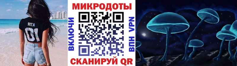 закладки  Тосно  Псилоцибиновые грибы мицелий 